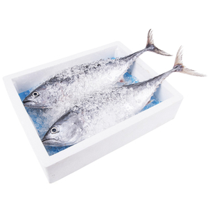Großhandel Sap Soaker Fisch Meeresfrüchte Süßwasser absorbierendes Pad