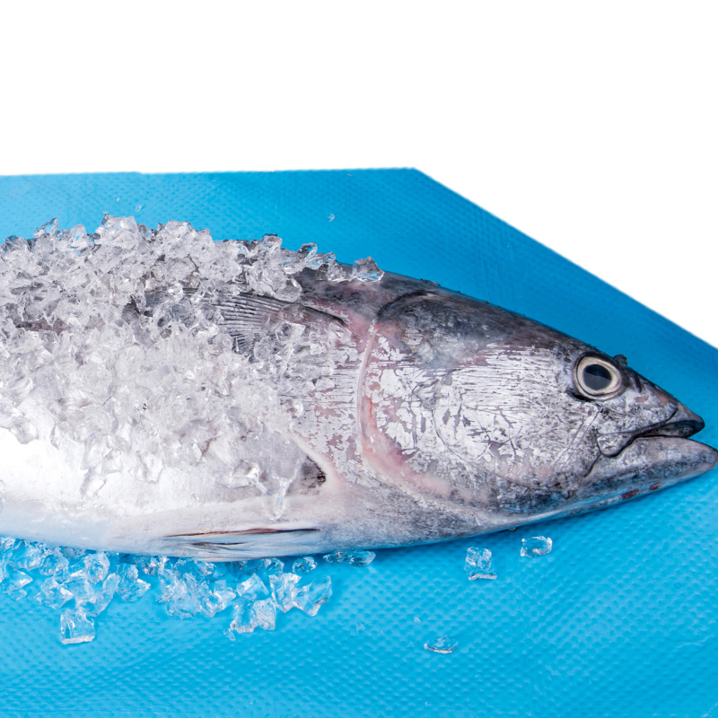 Großhandel Sap Soaker Fisch Meeresfrüchte Süßwasser absorbierendes Pad